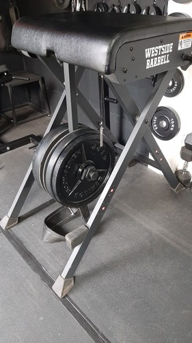 Bodybuilding rogue westside - rogue,