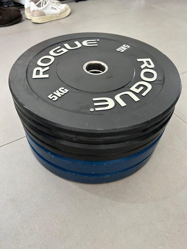 Rogue olympic weight plate - rogue,